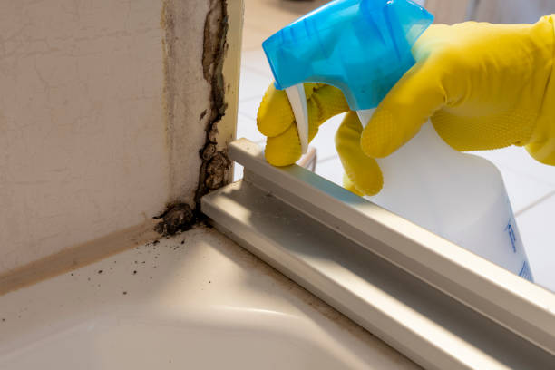 Best Commercial Mold Inspection  in Rancho Laveras, CA